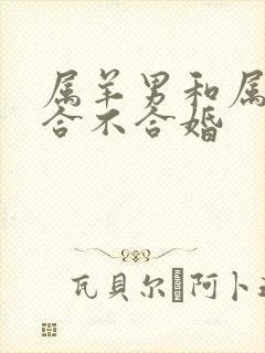 属羊男和属龙女合不合婚