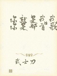 你就是我我就是你是哪首歌的歌词