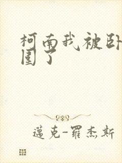 柯南我被卧底包围了