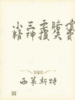 小三要赔偿原配精神损失费吗