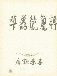 葫芦丝简谱月光下的凤尾竹