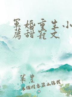 军婚重生小说推荐甜宠文