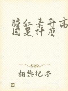 胆红素升高的原因是什么