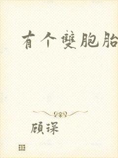 有个双胞胎老婆