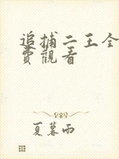 追捕二王全集免费观看