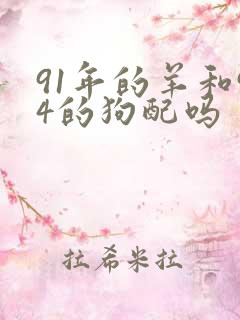 91年的羊和94的狗配吗