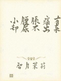 小腹胀痛有尿意却尿不出来