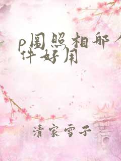 p图照相哪个软件好用