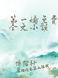 第一娇免费阅读全文小说