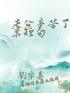 老公辛苦了的文案短句