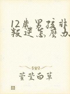 12岁男孩非常叛逆怎么办