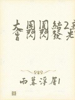 大团圆结2亲情会闪闪发光