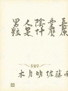 男人阴囊长了粒粒是什么原因