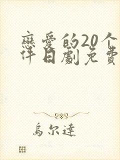 恋爱的20个条件日剧免费观看