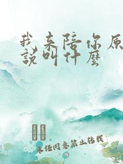 我来陪你原著小说叫什么