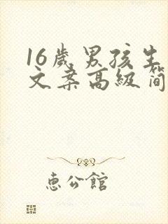 16岁男孩生日文案高级简短