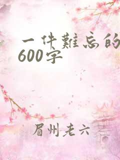 一件难忘的事情600字