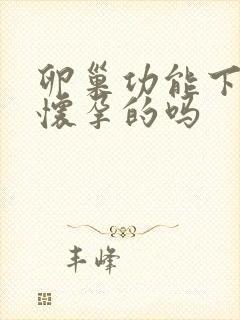 卵巢功能下降会怀孕的吗