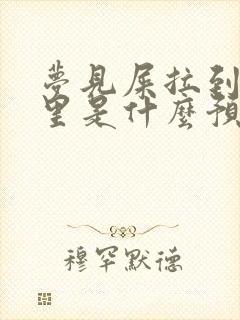 梦见屎拉到裤裆里是什么预兆