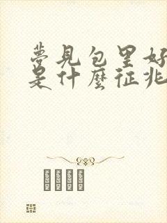 梦见包里好多钱是什么征兆