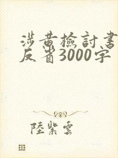 涉黄检讨书自我反省3000字