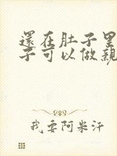 还在肚子里的孩子可以做亲子鉴定吗