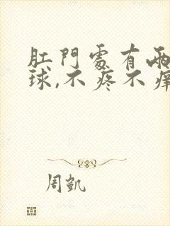 肛门处有两个肉球,不疼不痒的