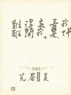 难得来看我却又离开我是什么歌