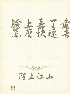 脸上长了黄褐斑怎么快速去掉