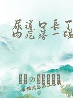 尿道口长了个小肉疙瘩一碰就疼