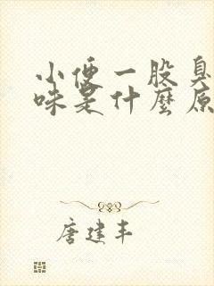 小便一股臭鸡蛋味是什么原因