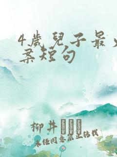 4岁儿子最火文案短句
