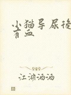 小猫导尿后尿里有血