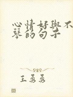 心情好与不好弹琴的句子