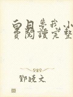 白日梦我小说免费阅读完整