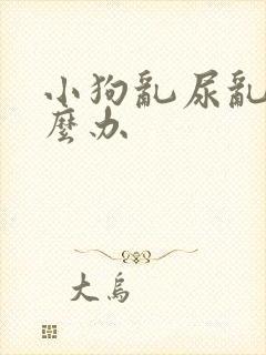 小狗乱尿乱拉怎么办