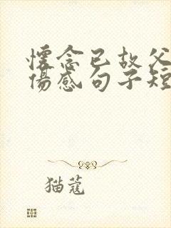 怀念已故父母的伤感句子短句