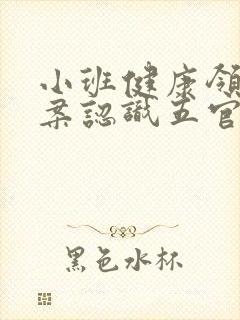 小班健康领域教案认识五官