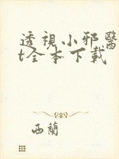 透视小邪医txt全本下载