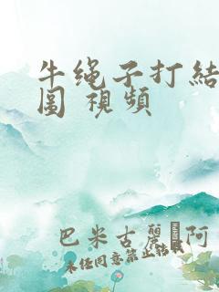 牛绳子打结方法图 视频