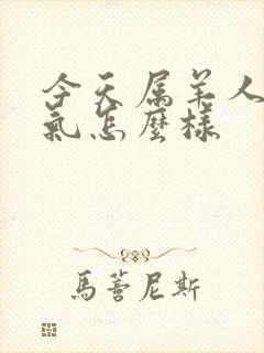 今天属羊人的运气怎么样