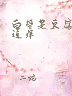 白带是豆腐渣阴道痒