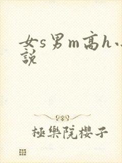 女s男m高h小说