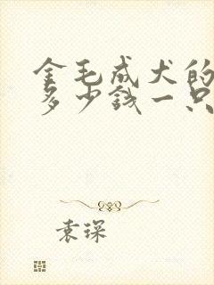 金毛成犬的价格多少钱一只