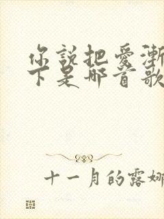 你说把爱渐渐放下是哪首歌的歌词