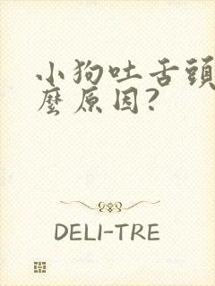 小狗吐舌头是什么原因?