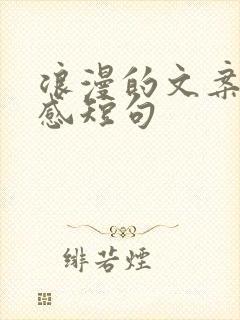 浪漫的文案高级感短句