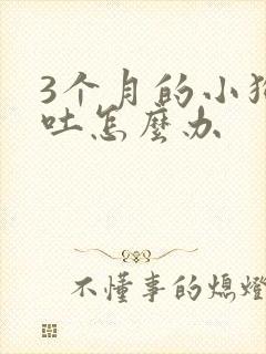 3个月的小狗呕吐怎么办