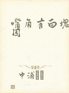 嘴角有白块的原因