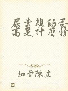 尿常规的蛋白质高是什么情况